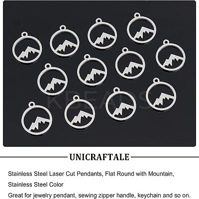 30Pcs 201 Stainless Steel Charms STAS-UN0034-41-1