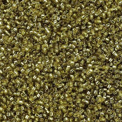 MIYUKI Delica Beads SEED-MY11-DB2164-1