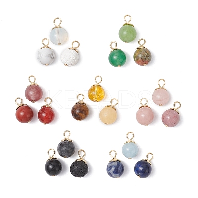 21Pcs 21 Styles Natural & Synthetic Mixed Gemstone Round Charms PALLOY-JF04619-01-1