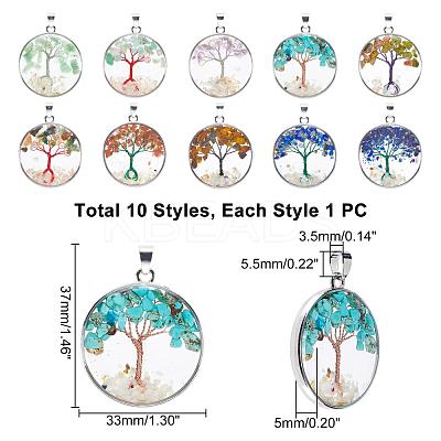 10Pcs 10 Style Mixed Gemstone Pendants G-PH0019-19-1
