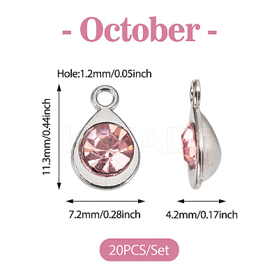 20Pcs Faceted Glass Charms RGLA-TADJ0001-01G-1