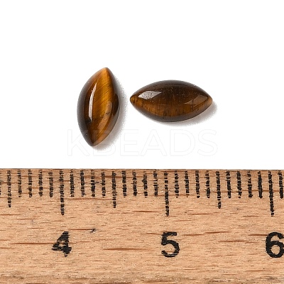 Natural Tiger Eye Cabochons G-F772-01B-10-1