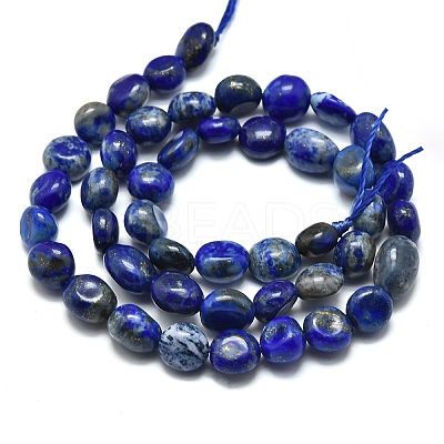 Natural Lapis Lazuli Beads Strands X-G-O186-B-17-1