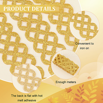 Iron on/Sew on Embroidery Coin Polyester Hollow Lace Ribbons OCOR-WH0085-50-1