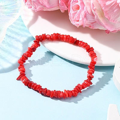 Dyed Natural Freshwater Shell Beaded Stretch Bracelets for Men Women BJEW-JB12478-01-1