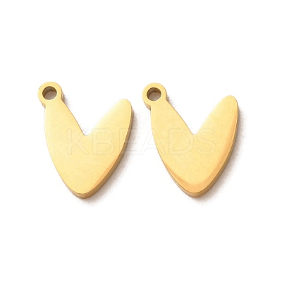 304 Stainless Steel Charms SA-G606-02G-1