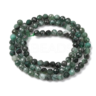 Natural Emerald Beads Strands G-T141-63B-1