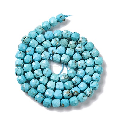 Natural Howlite Beads Strands G-G001-B02-05-1