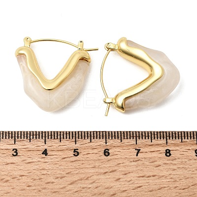 Brass Resin Hoop Earrings EJEW-P333-11A-G01-1