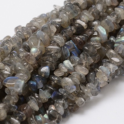 Natural Labradorite Chip Bead Strands X-G-M298-06-1