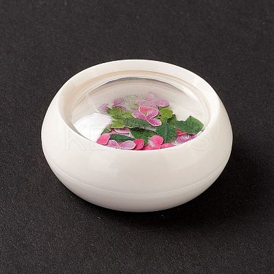 DIY Crystal Epoxy Resin Material Filling DIY-E036-22-1