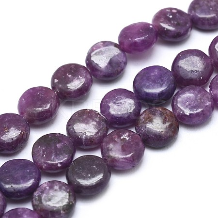 Natural Lepidolite/Purple Mica Stone Beads Strands G-F626-04-1