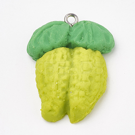 Handmade Polymer Clay Pendants CLAY-T012-11-1