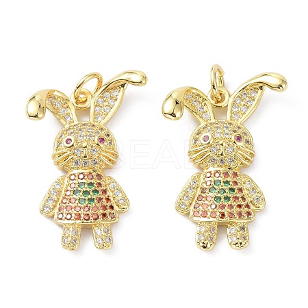 Brass Micro Pave Cubic Zirconia Pendant ZIRC-C021-28G-1