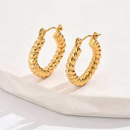 304 Stainless Steel Hoop Earrings YY3113-2-1