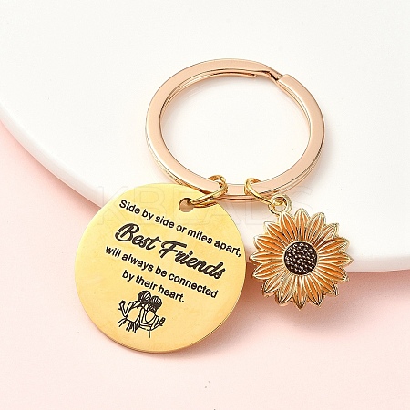 Alloy Enamel & 304 Stainless Steel Keychain KEYC-YW00094-03-1
