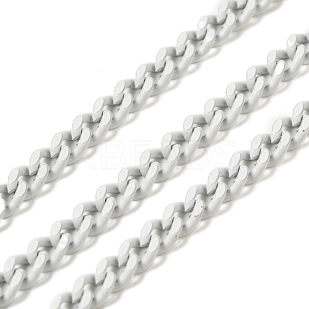 Spray Painted 304 Stainless Steel Curb Chains STAS-B067-05B-09-1