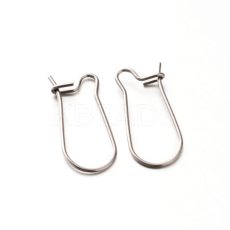 Tarnish Resistant 304 Stainless Steel Hoop Earrings Findings Kidney Ear Wires LS-STAS-E088-20-1