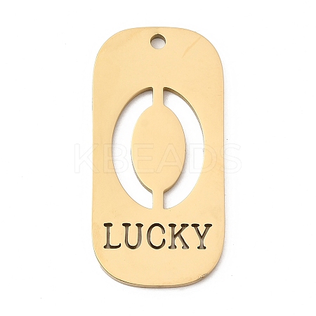 304 Stainless Steel Pendants STAS-D200-02A-G-1