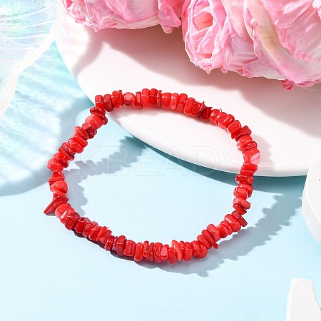 Dyed Natural Freshwater Shell Beaded Stretch Bracelets for Men Women BJEW-JB12478-01-1