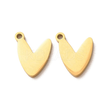 304 Stainless Steel Charms SA-G606-02G-1