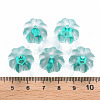 Transparent Acrylic Beads TACR-S154-19A-68-4