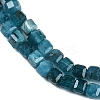 Natural Apatite Beads Strands G-P553-E03-02-4
