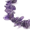 Natural Amethyst Chip Beaded Necklace NJEW-JN03824-03-4