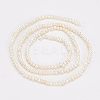 1 Strand Natural Cultured Freshwater Pearl Beads Strands PEAR-NB0001-36-4