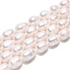 Natural Cultured Freshwater Pearl Beads Strands PEAR-T006-19D-2