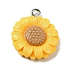 Opaque Resin Pendants LS-FIND-H045-01A-1