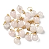 Natural Rose Quartz Openable Perfume Bottle Pendants LS-G-A026-02B-01-1