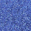 MIYUKI Delica Beads X-SEED-J020-DB0077-3
