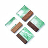 Transparent Resin & Walnut Wood Pendants RESI-T035-31-2