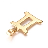 304 Stainless Steel Pendants LS-STAS-L210-06K-G-01-2