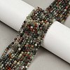 Natural African Bloodstone Beads Strands LS-G-S388-A02-3mm-1