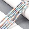Natural Rainbow Alashan Agate Beads Strands G-G806-04-4mm-01-1
