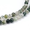 Natural Gemstone Round Bead Strands X-G-J303-07-6mm-3