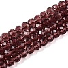Glass Beads Strands EGLA-A034-T6mm-D13-1