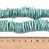 Natural Howlite Beads Strands G-A302-A01-01-6
