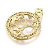 Rack Plating Brass Micro Pave Cubic Zirconia Pendants KK-K401-48A-G-2