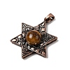 Natural Tiger Eye Pendants G-A297-06R-21-2