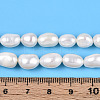 Natural Cultured Freshwater Pearl Beads Strands PEAR-N014-06I-5