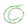 Natural Freshwater Shell Dyed Beads Strands SHEL-M018-13-03-2