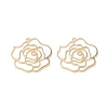 Brass Pendants KK-I702-31G-1