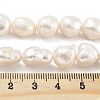 Natural Cultured Freshwater Pearl Beads Strands PEAR-P062-31C-X-5