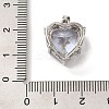 Platinum Brass Micro Pave Cubic Zirconia Pendants KK-C072-37P-02-3