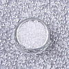 Transparent Glass Beads SEED-S040-09A-12-2