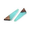Resin & Wood Pendants WOOD-F015-15D-2