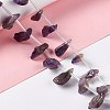 Natural Amethyst Beads Strands G-I329-02-2